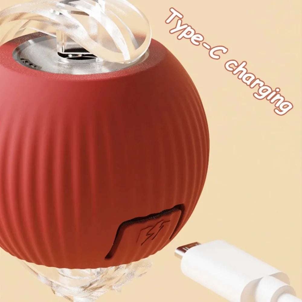 Cat Automatic Rolling Ball