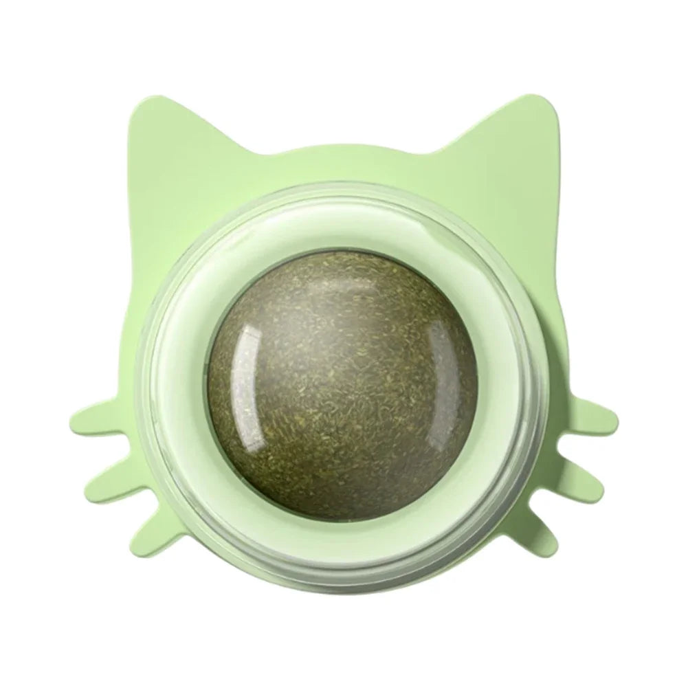 Catnip Wall Toy