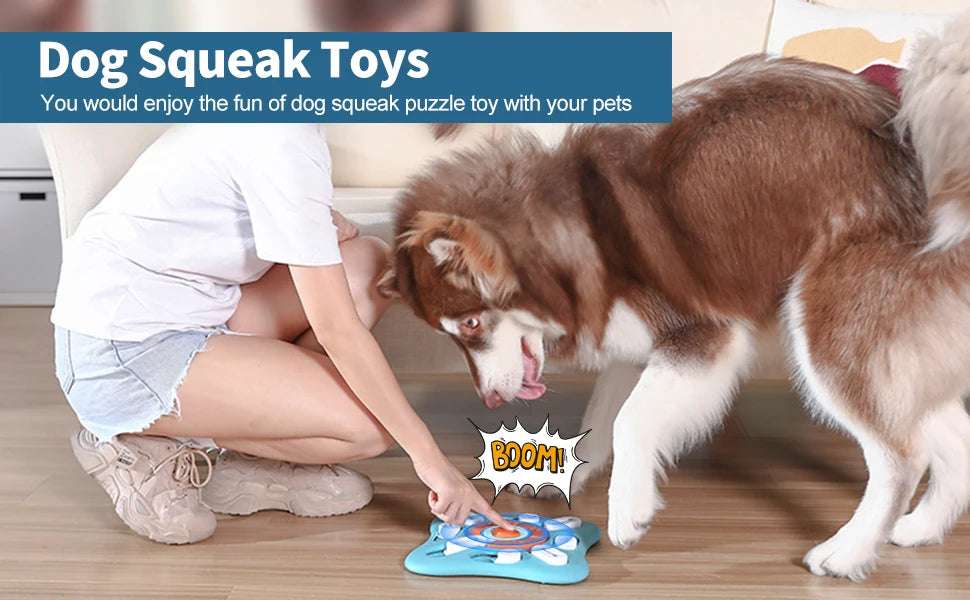 Dog Treat Puzzle Toy for IQ Training