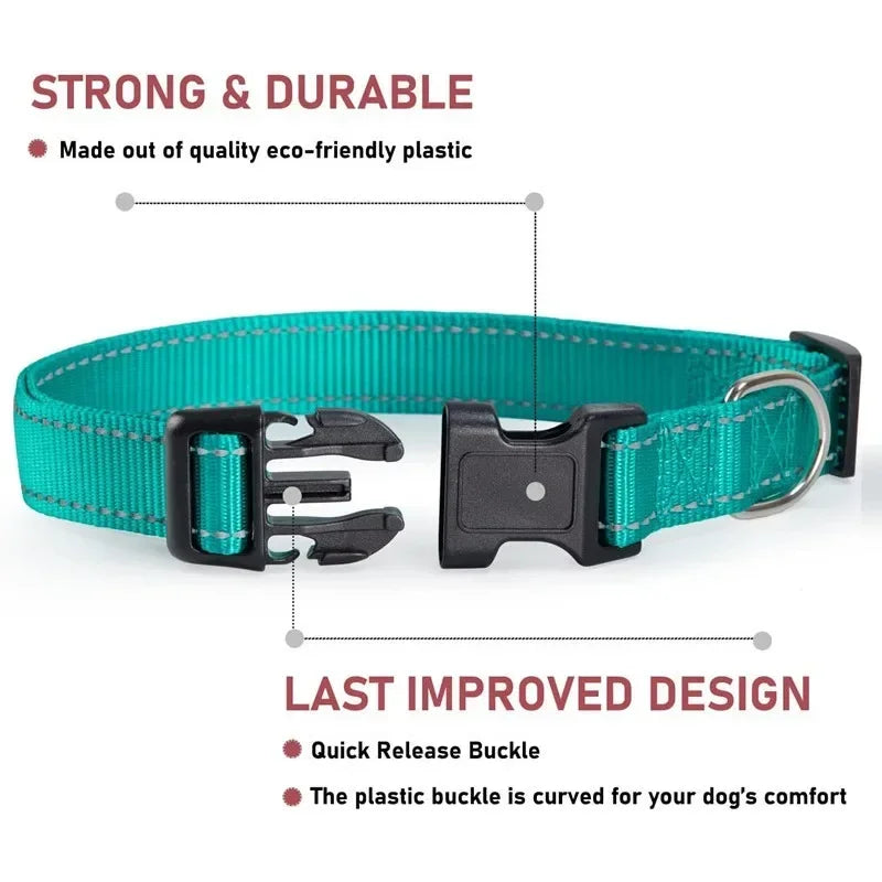 Dog Collar