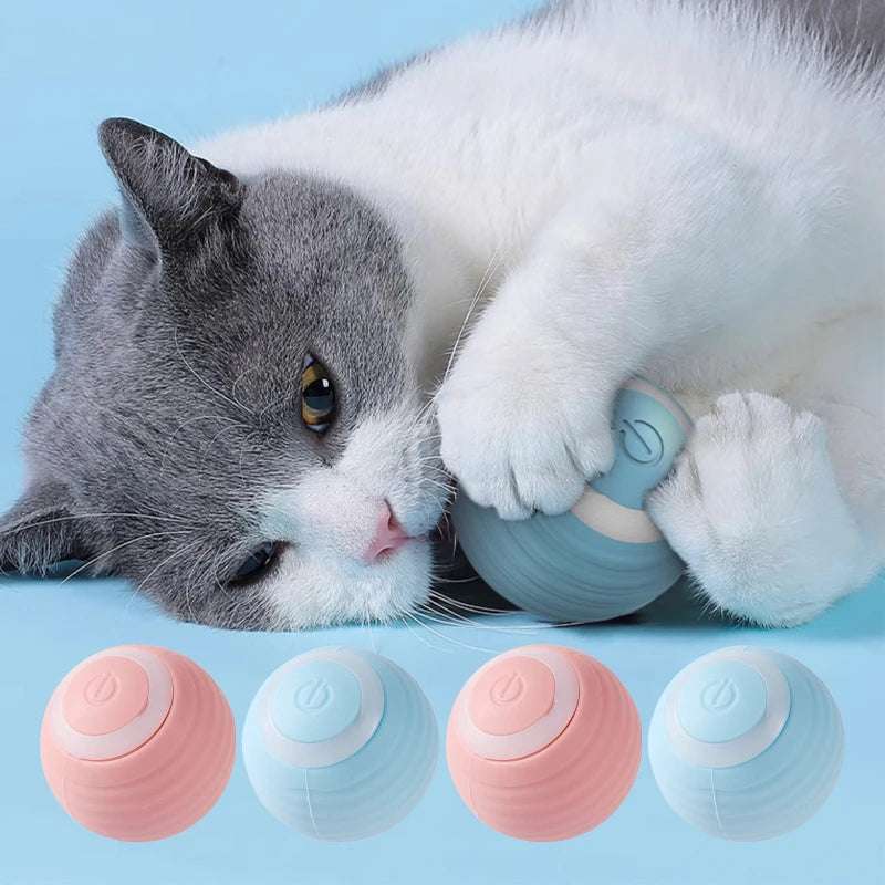 Automatic Moving Toy Ball