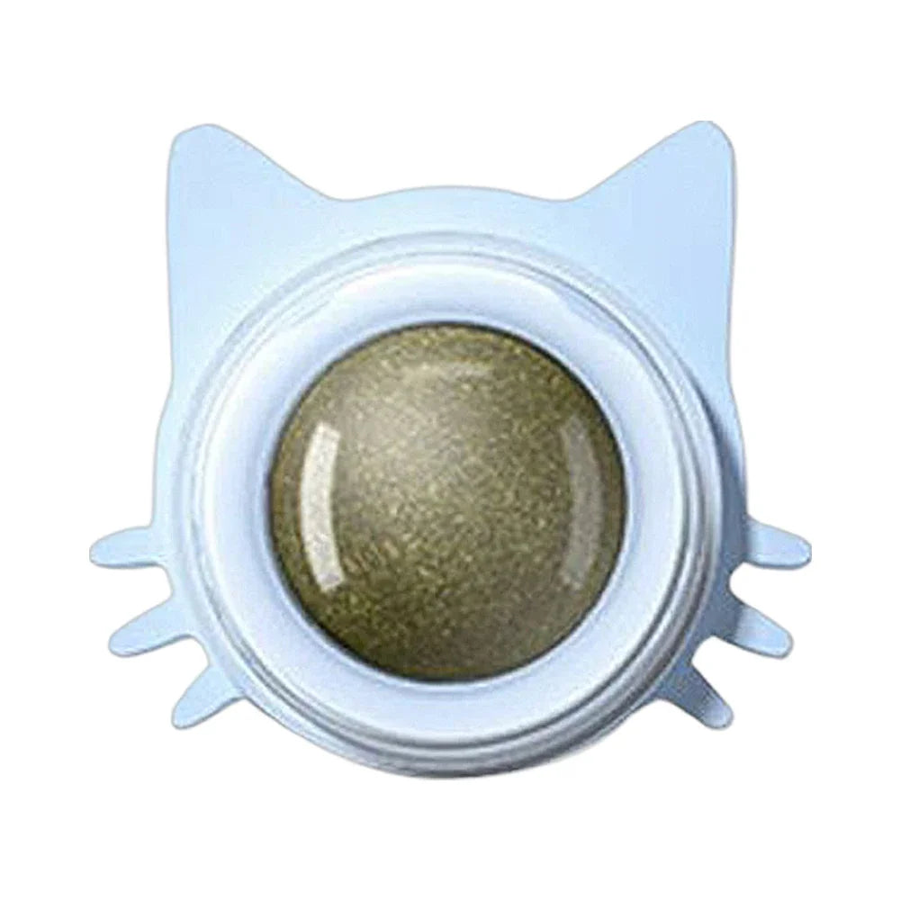 Catnip Wall Toy