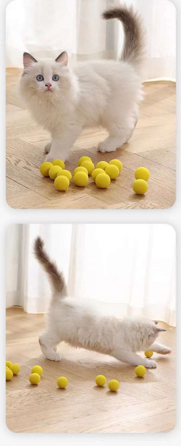 Launch Training Cat Toys Interactive Shooter Gun Teaser Plush Ball Pet Creative Games Stretch Mini Pompoms Kittens Supplies Gato Lunapaws pet supply