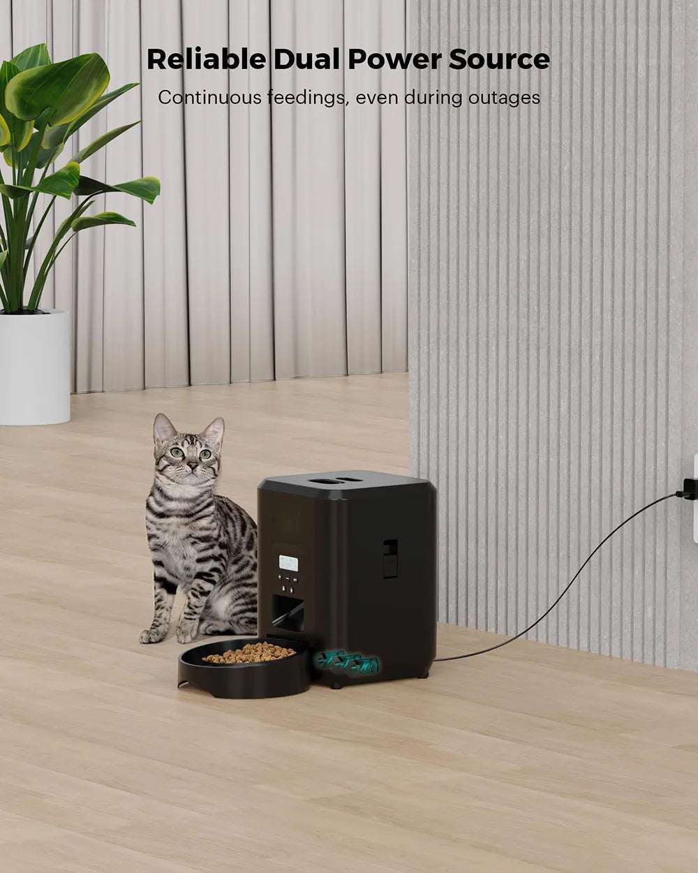 Automatic Dog/Cat Feeder