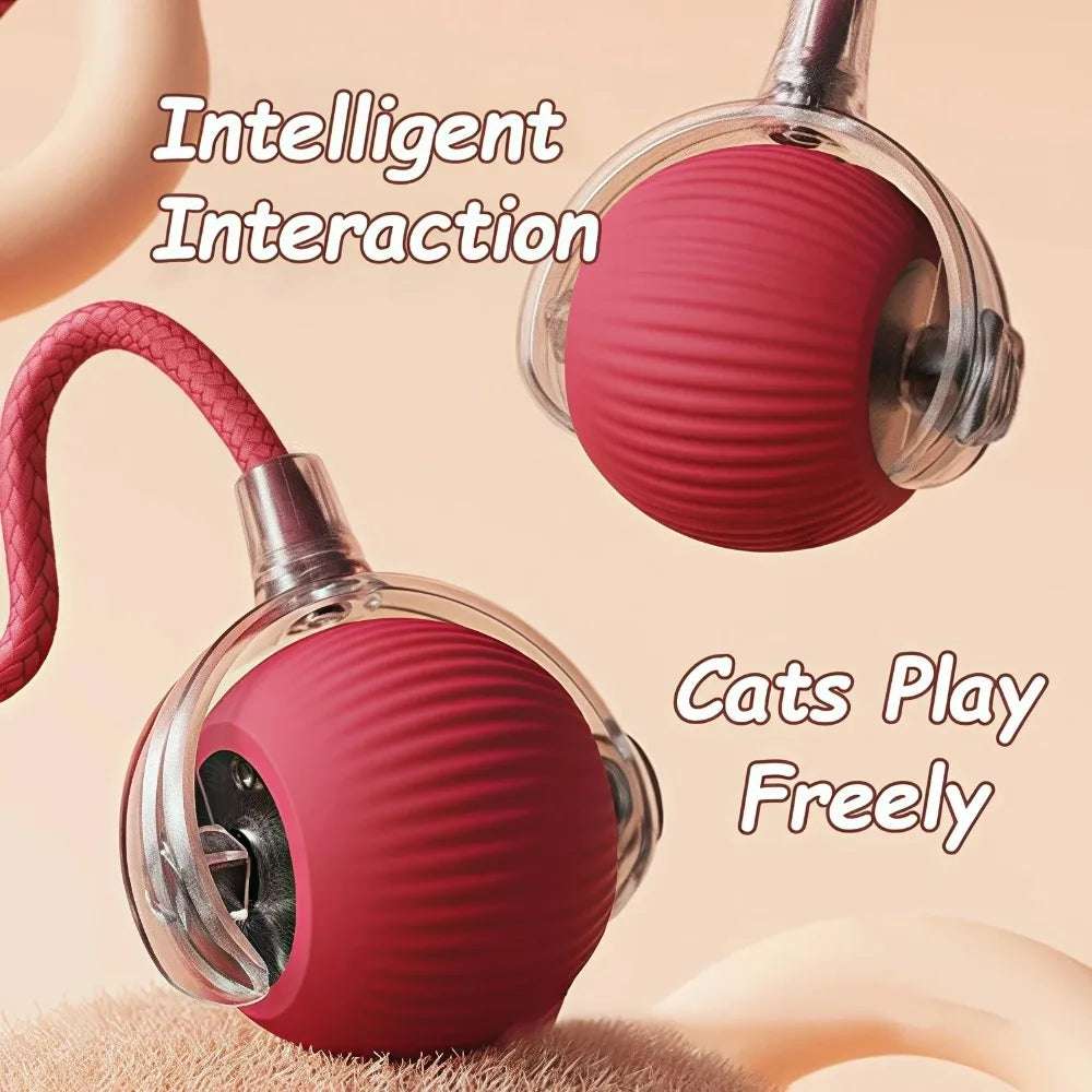 Cat Automatic Rolling Ball