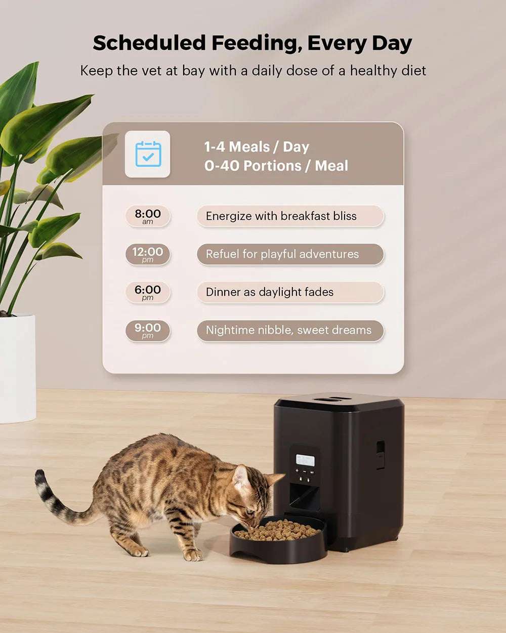 Automatic Dog/Cat Feeder