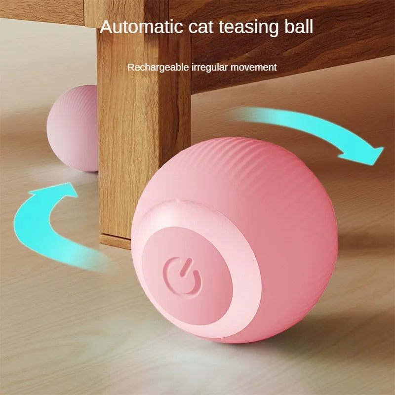 Automatic Moving Toy Ball