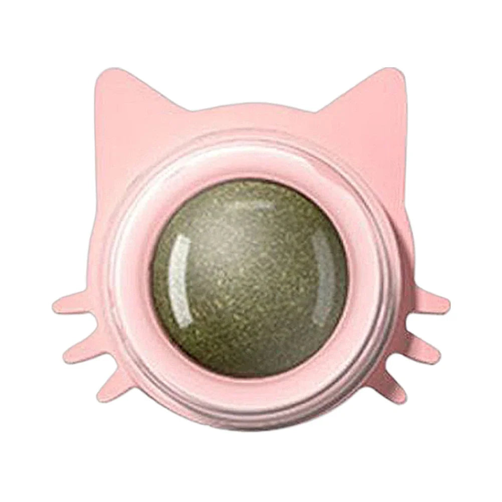 Catnip Wall Toy