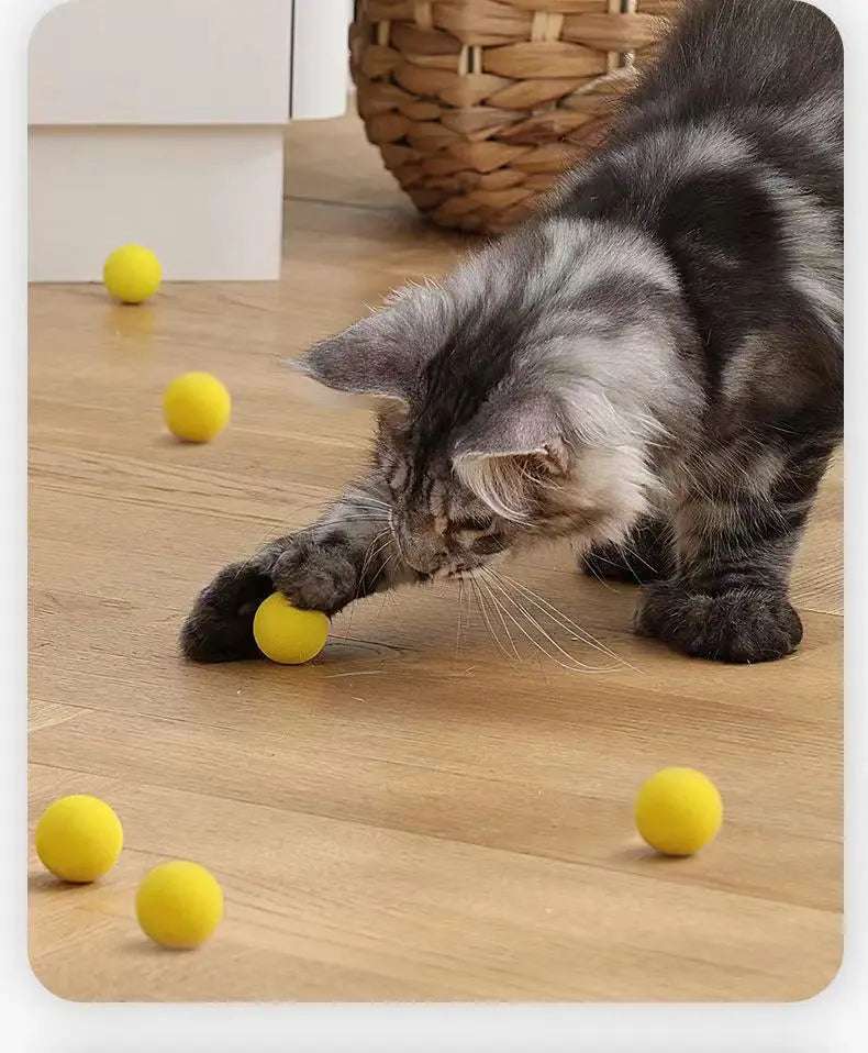 Launch Training Cat Toys Interactive Shooter Gun Teaser Plush Ball Pet Creative Games Stretch Mini Pompoms Kittens Supplies Gato Lunapaws pet supply