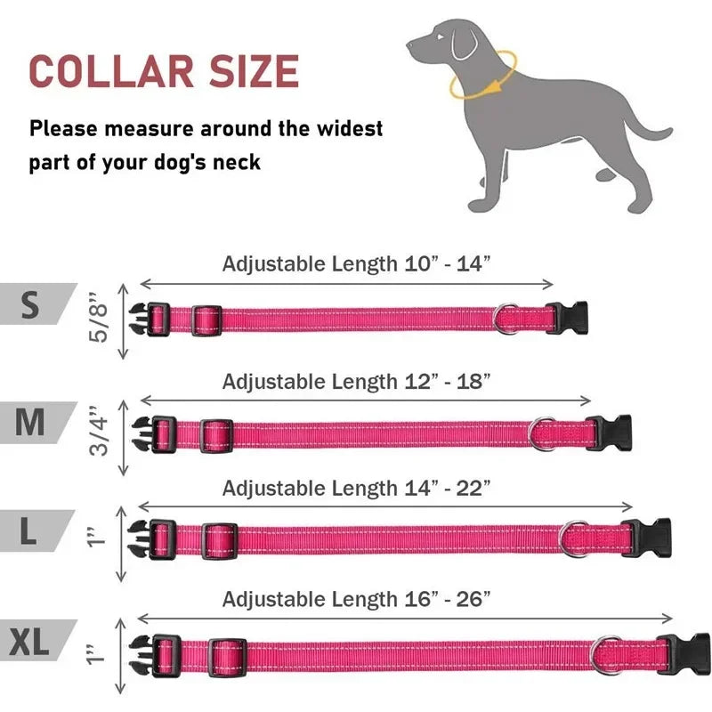 Dog Collar