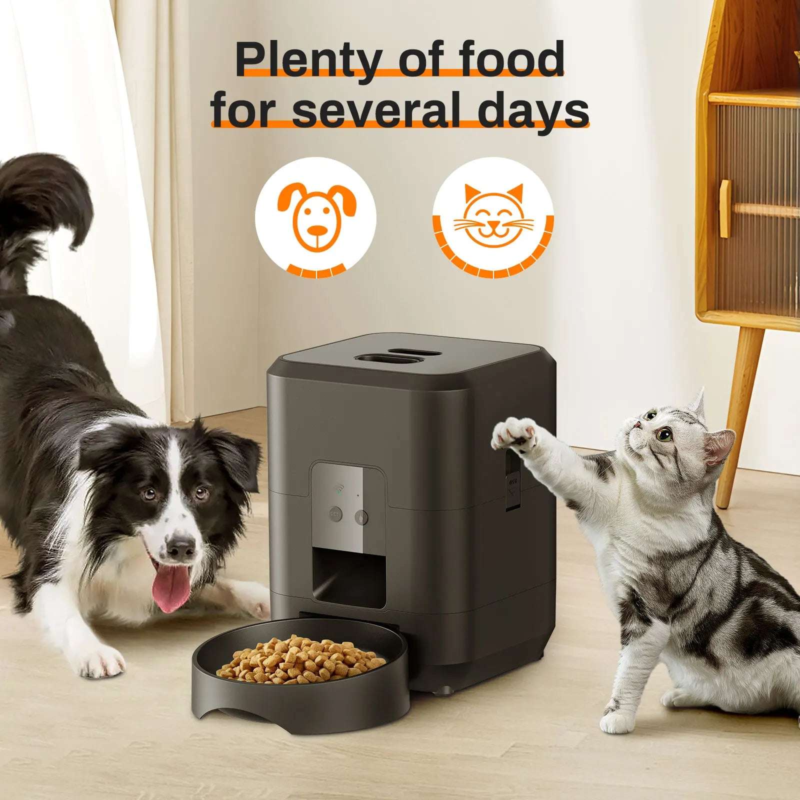 Automatic Dog/Cat Feeder