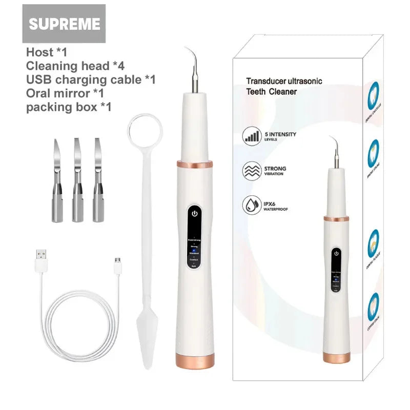 Ultrasonic dog and cat tooth cleaner with cleaning heads, USB cable, oral mirror, and waterproof design.