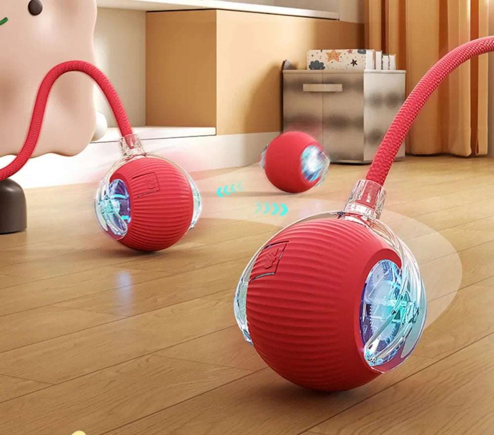Cat Automatic Rolling Ball