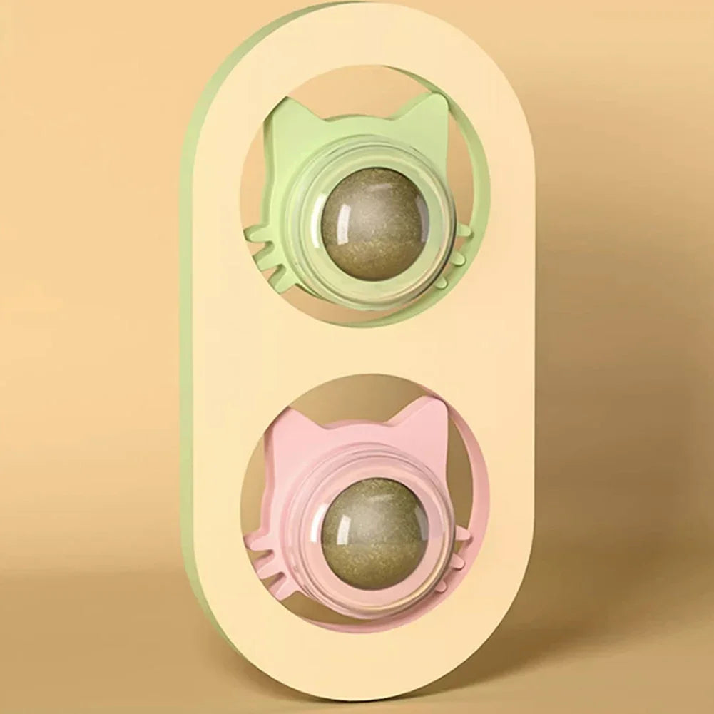 Catnip Wall Toy