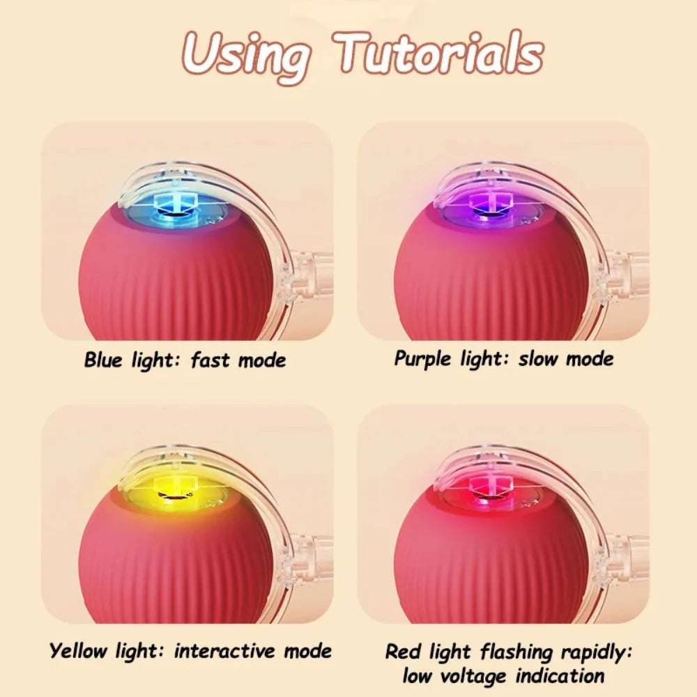 Cat Automatic Rolling Ball