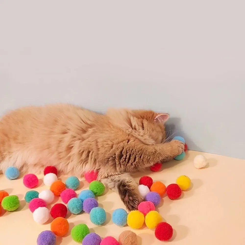 Cat Plush Shooter
