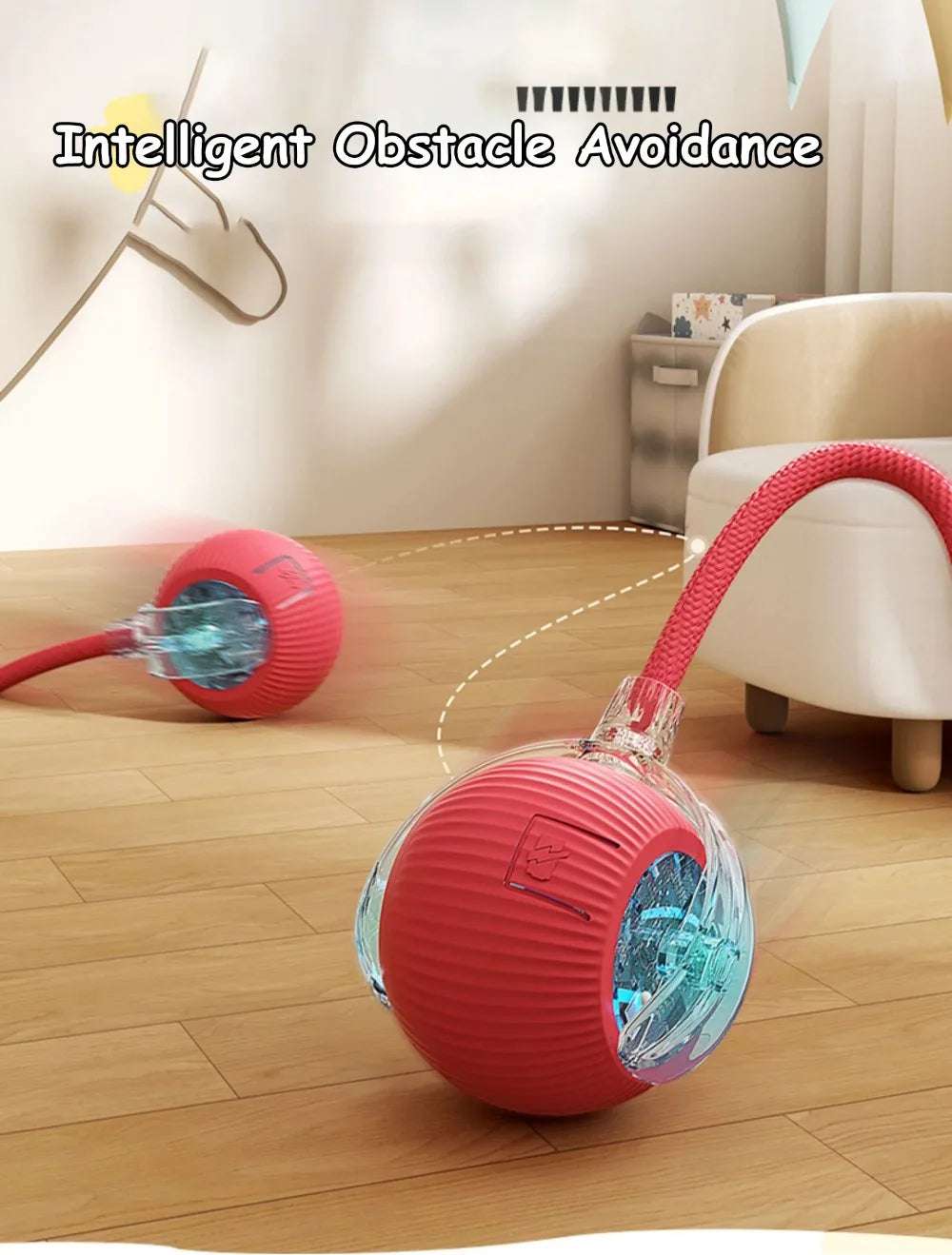 Cat Automatic Rolling Ball