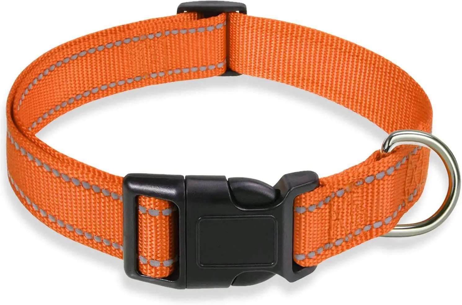Dog Collar
