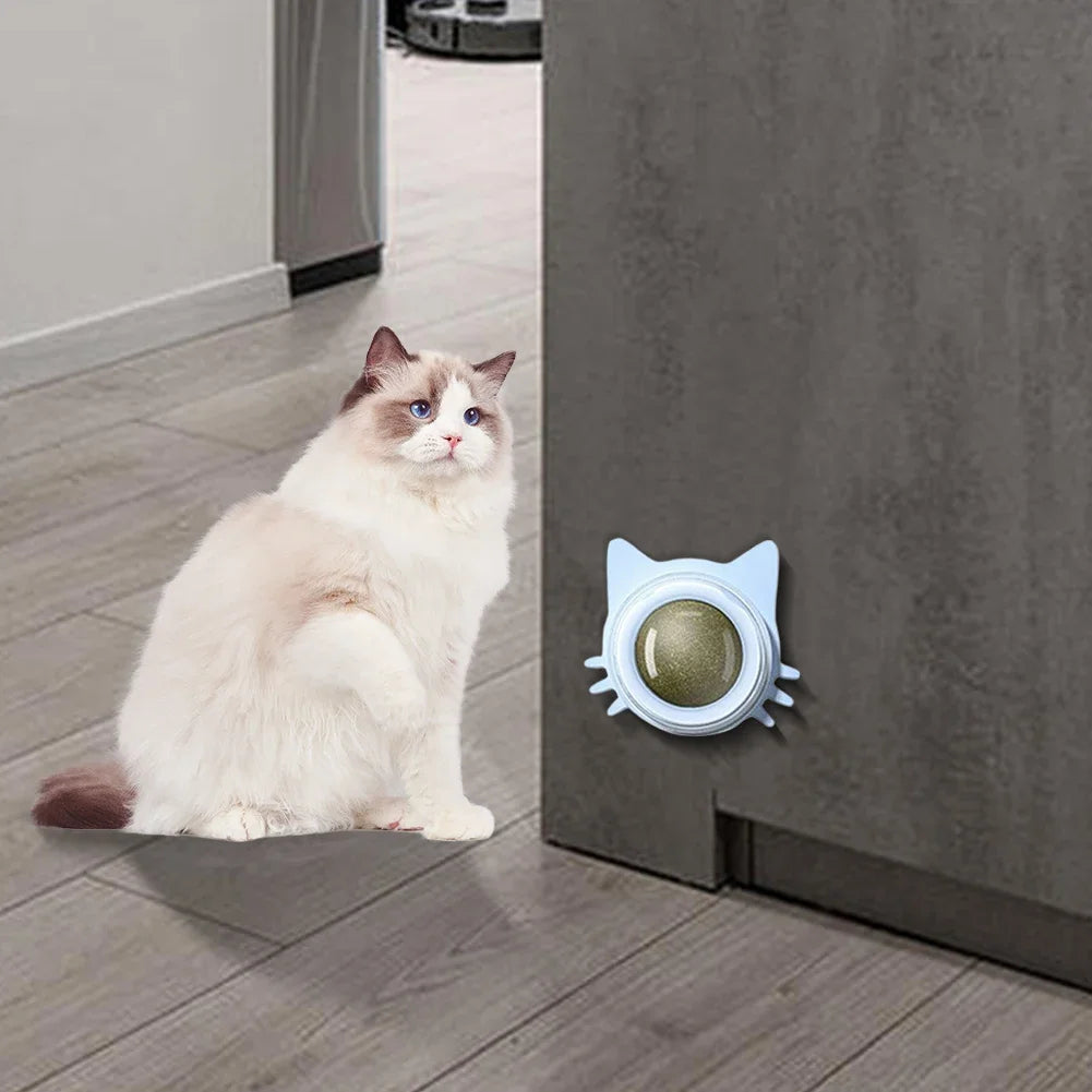 Catnip Wall Toy