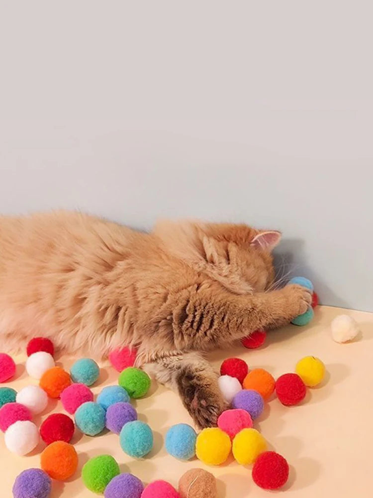 Cat Plush Shooter