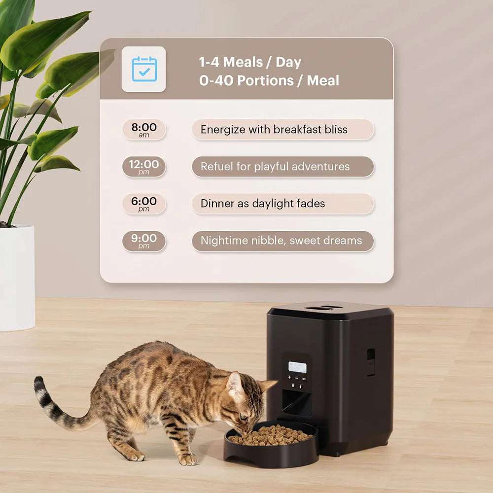 Automatic Dog/Cat Feeder