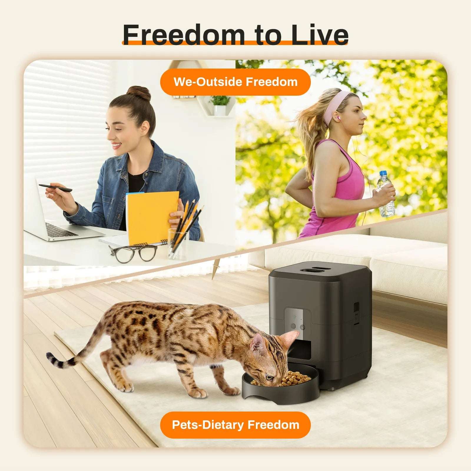 Automatic Dog/Cat Feeder