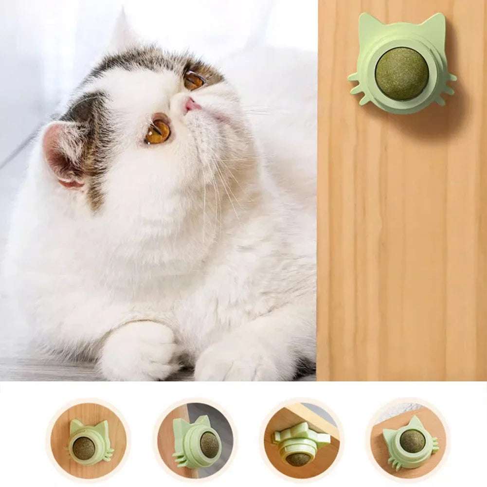 Catnip Wall Toy