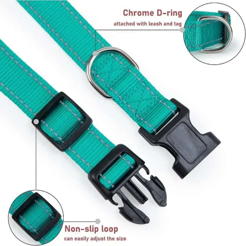 Dog Collar